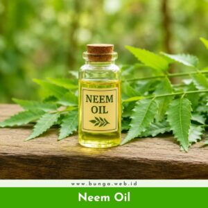 Neem Oil