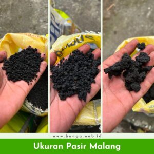Ukuran Pasir Malang